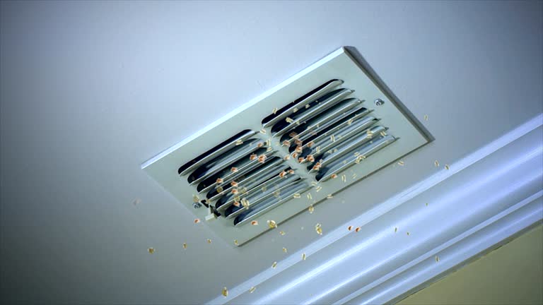 Best Affordable Air Duct Cleaning  in Fair Grove, MO